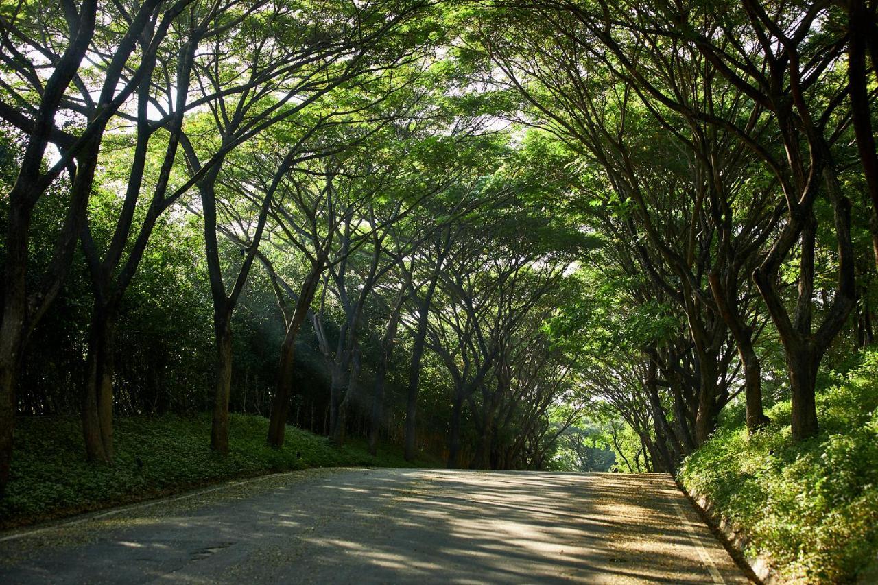 Intercontinental Khao Yai Resort By Ihg Pakchong Bagian luar foto